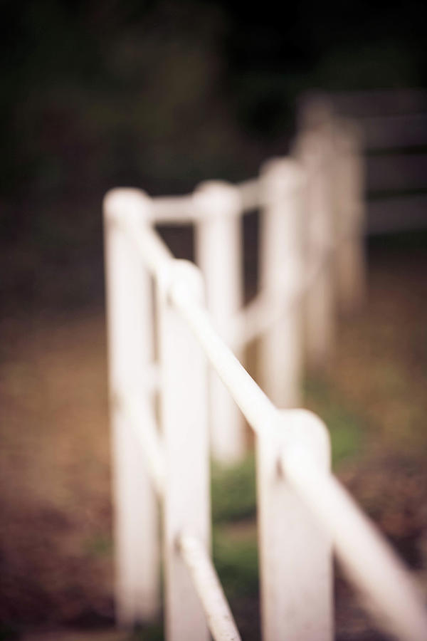 White Painted Railing Photograph by Olivia Bell Photography