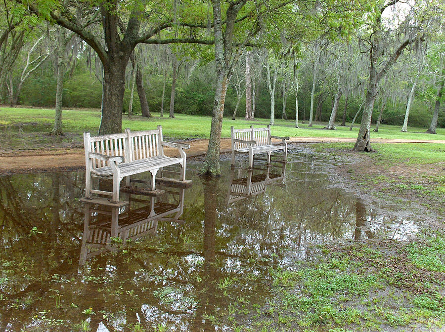 White Park Bench Reflecting In Water Photograph by Aaron Kovach