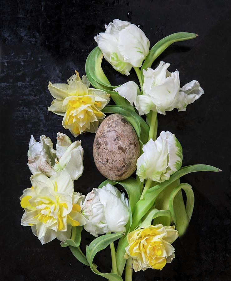 White Parrot Tulips And Double Narcissus Around Marbled Egg Photograph by Catja Vedder