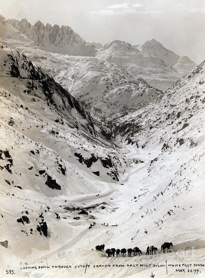White Pass Summit Photograph by Bettmann