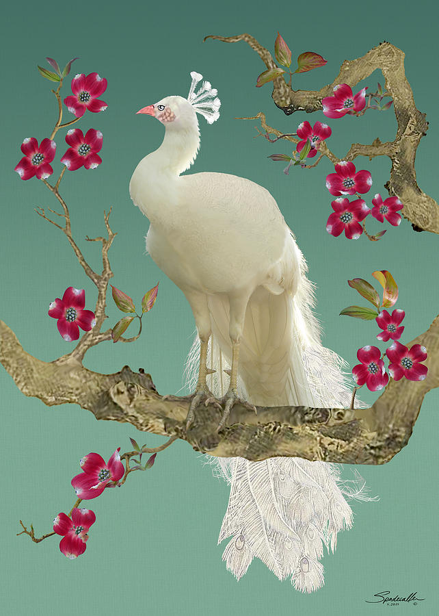 White Peacock Digital Art by M Spadecaller