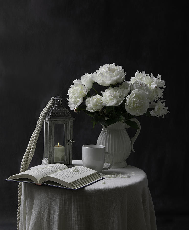 Flower Photograph - White Peony by Binbin Lu