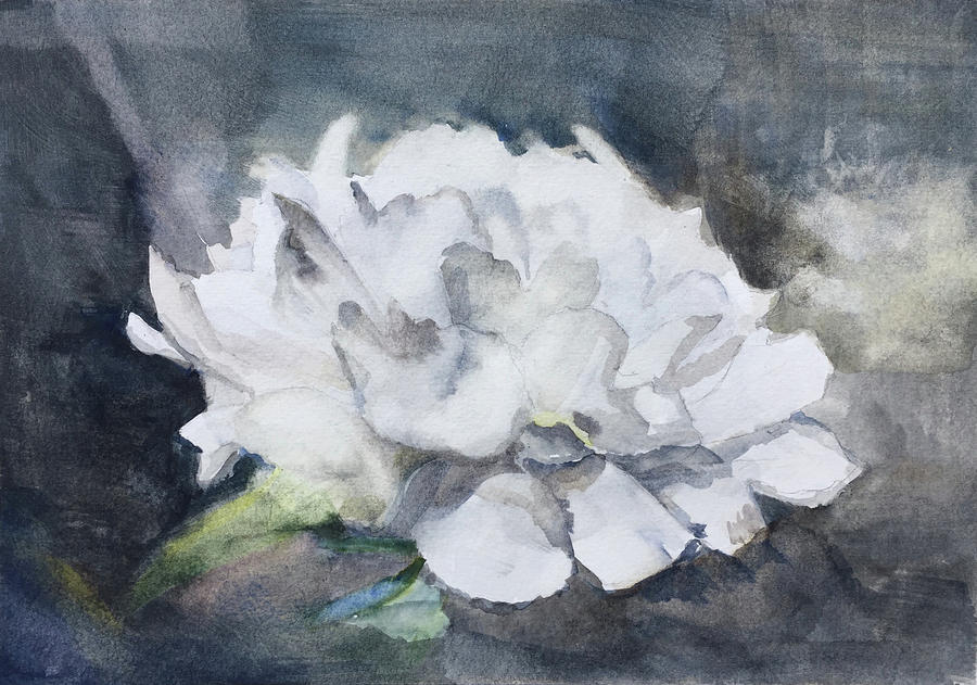 White Peony Painting by Doreen Starling