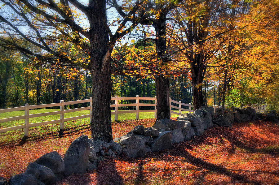 White Picket Fence Country Scene Photograph by Joann Vitali