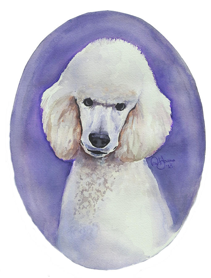 White Poodle Painting by Rachel Bochnia