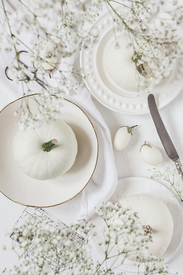 White Pumpkins And White Mini Eggplants On White Plates And White Background Photograph by Aleksandra Kordalska