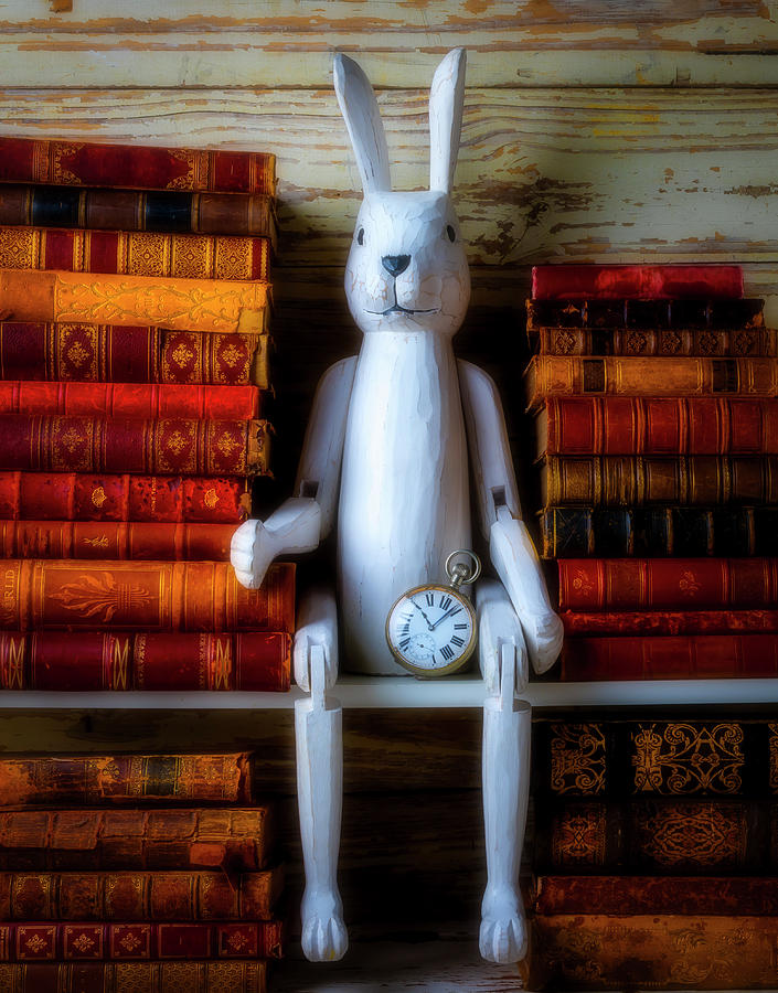 White Rabbit With Old Books Photograph by Garry Gay