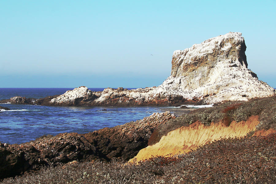 Point Piedras Blancas Photograph - The White Rocks of Piedras Blancas by Art Block Collections