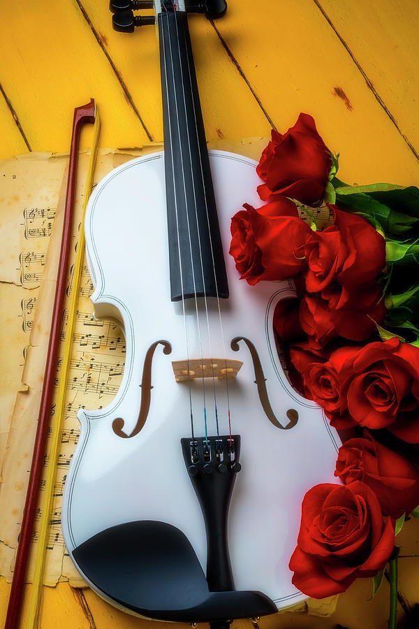 White Romantic Violin Photograph by Garry Gay