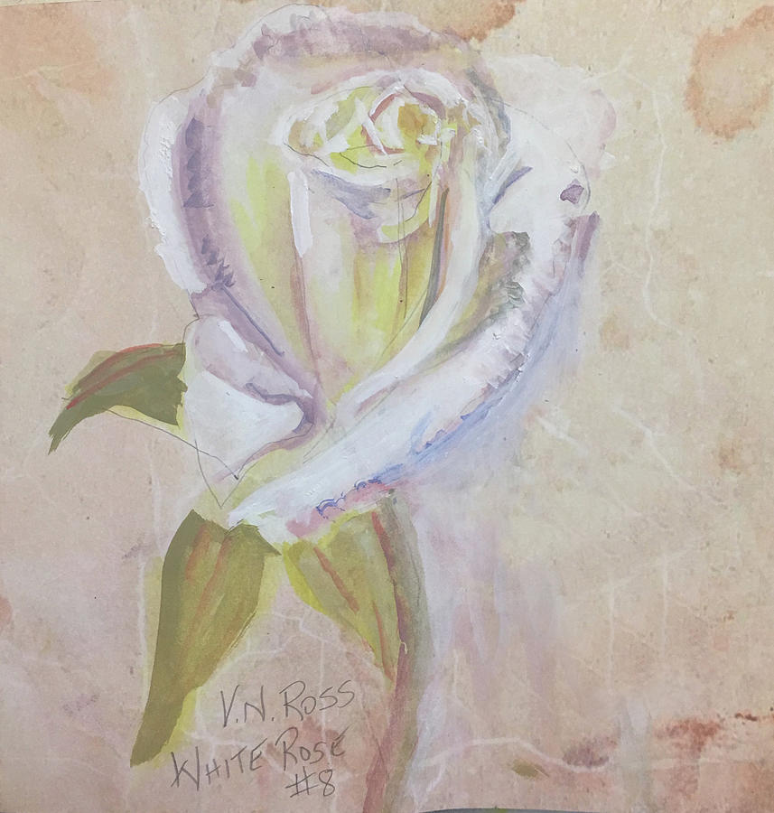 White Rose #8 Painting by Vicki Ross
