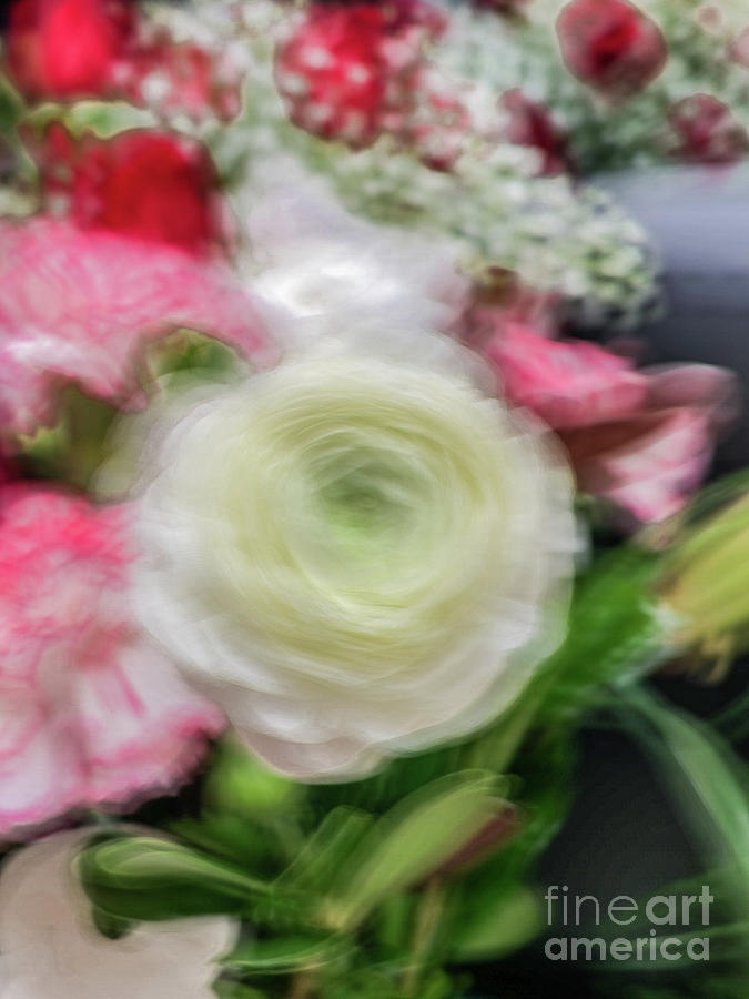 White rose blur abstract Photograph by Phillip Rubino