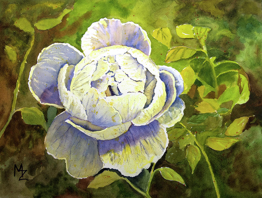 White Rose Painting by Margaret Zabor