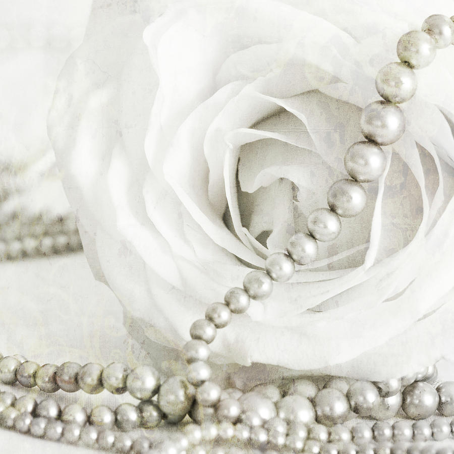 Still Life Photograph - White Rose With Pearls by Tom Quartermaine