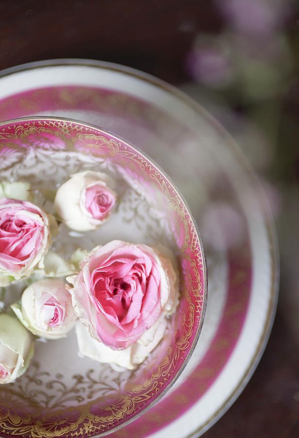 White Roses In A Bowl Photograph by Pia Simon