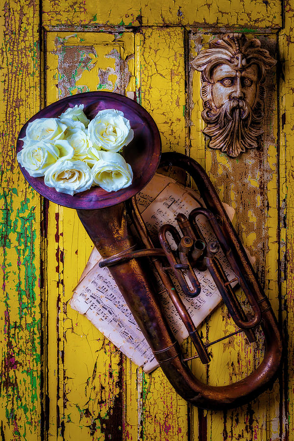 White Roses In Old Tuba Photograph by Garry Gay