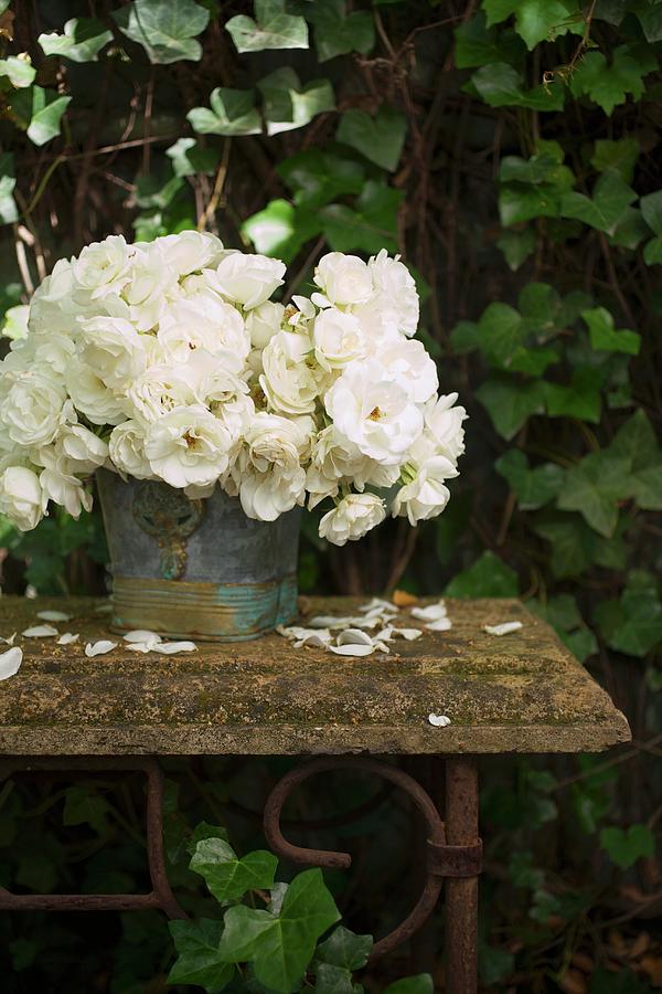 White Roses In Zinc Bucket On Vintage Garden Table Photograph by Jennifer Martine