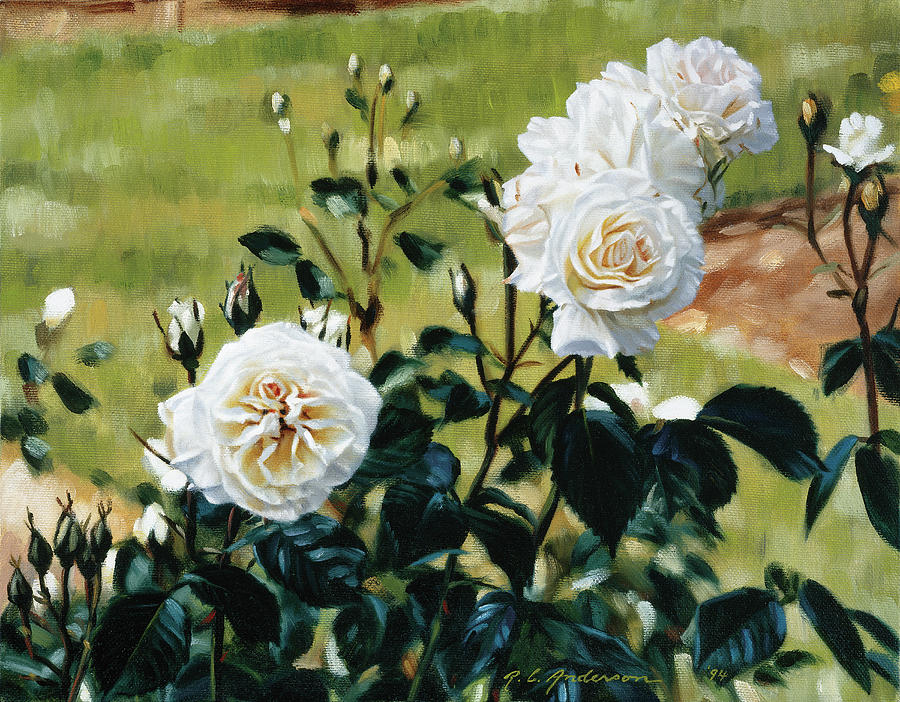 White Roses Painting by Robin Anderson