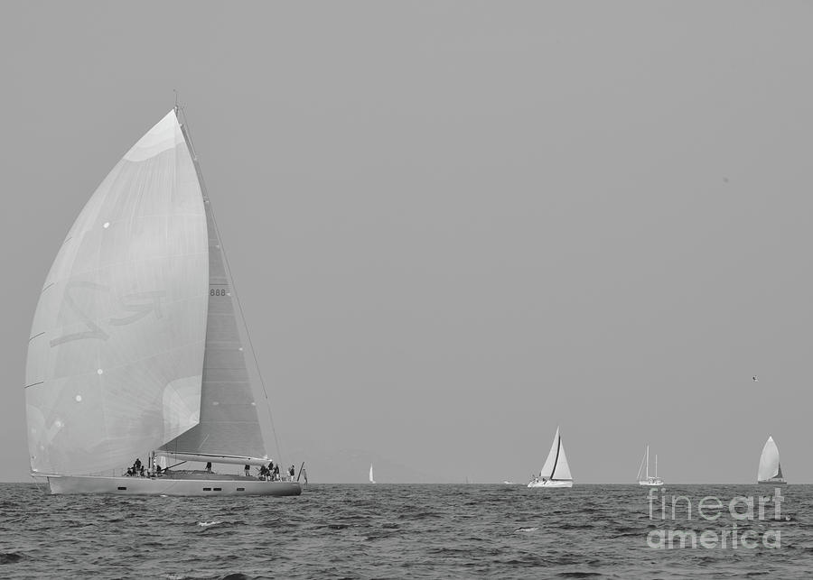 White sailboats on the Mediterranean Sea Photograph by Tom Vandenhende