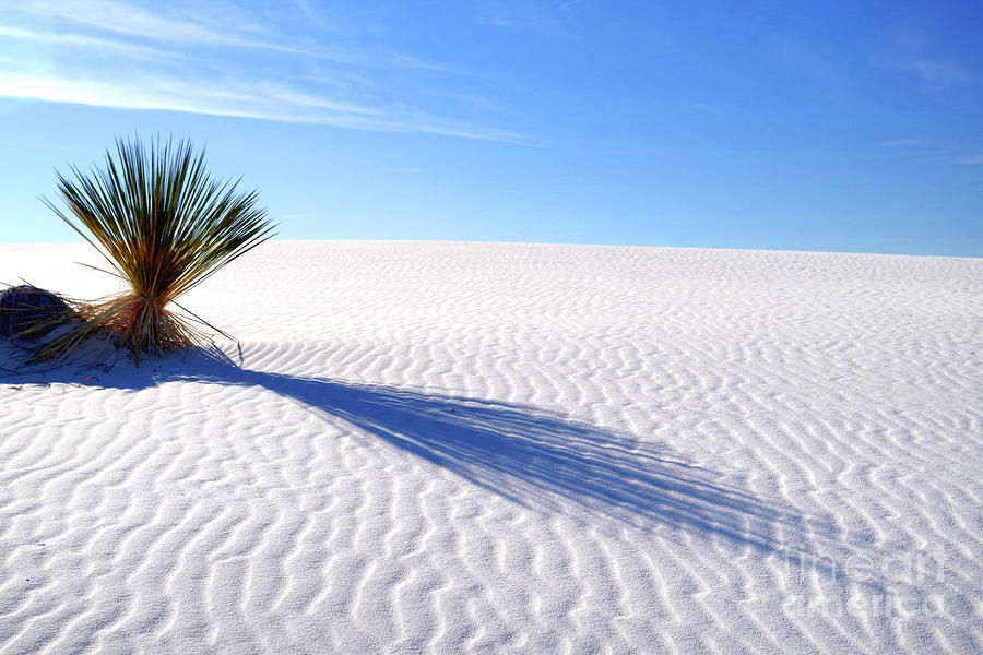 White Sand And Shadow Photograph by Douglas Taylor