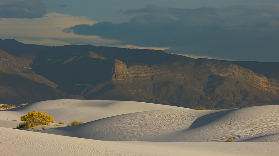 White Sands Photograph by Guy Wilson