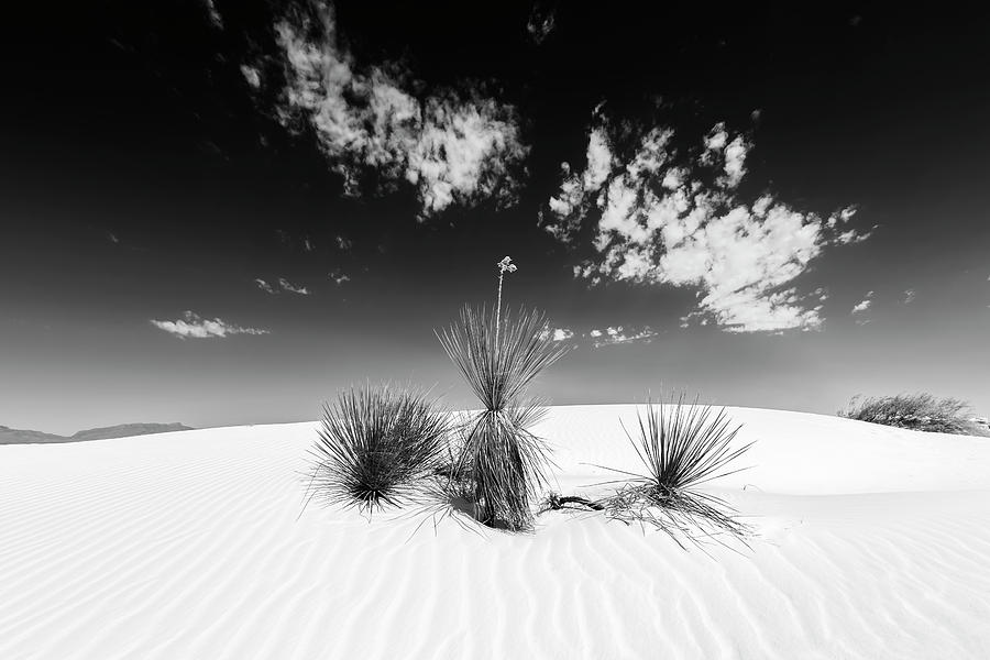 White Sands National Monument Photograph - White Sands Impression - Monochrome by Melanie Viola