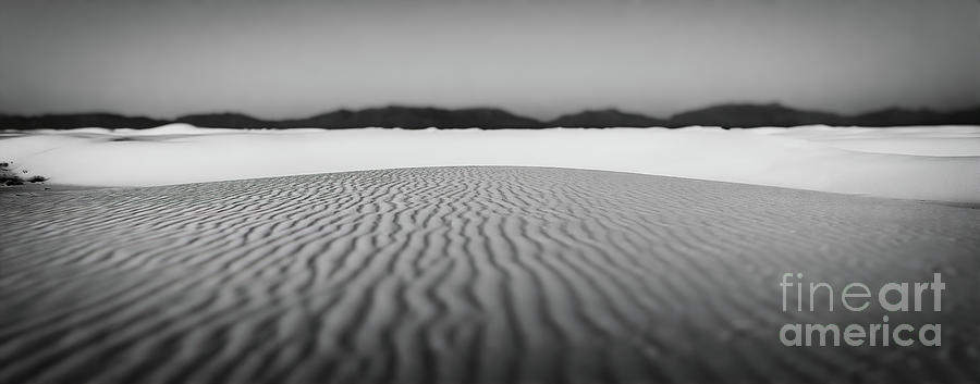 White Sands In Black And White Photograph by Doug Sturgess