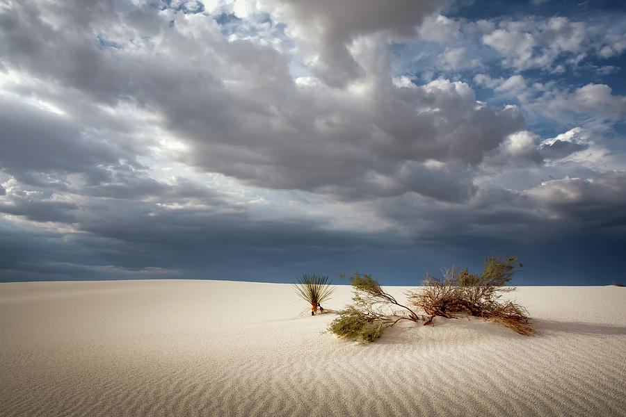 White Sands Photograph by James Barber