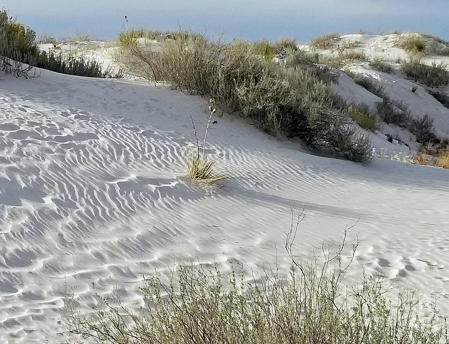 White Sands National Park Photograph by Janet Merryman | Fine Art America