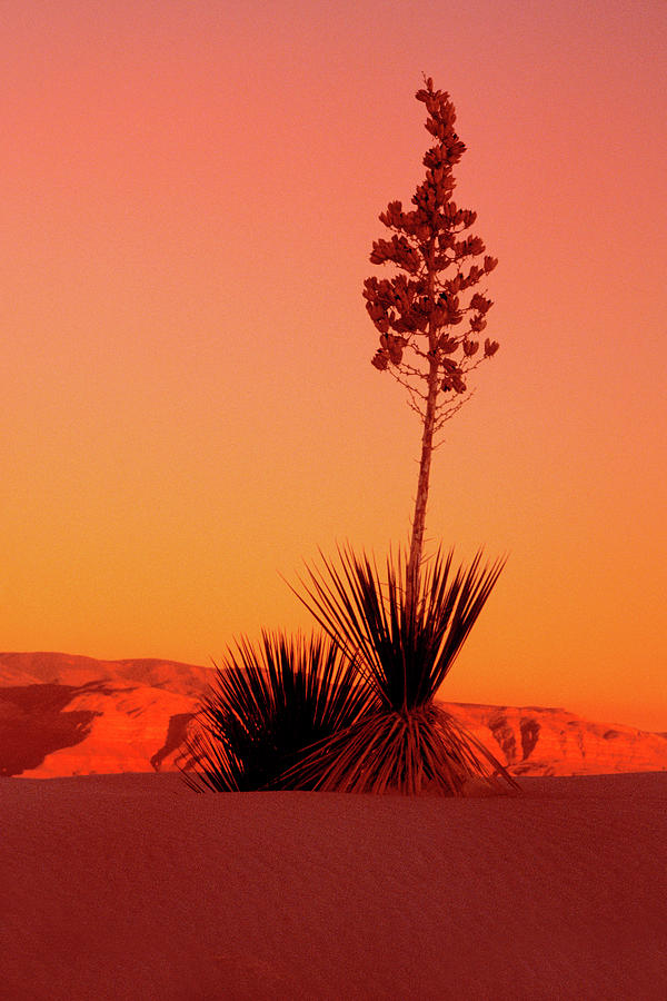 White Sands Sunset Glow  Photograph by Jerry Griffin