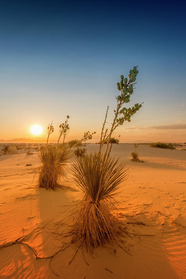 White Sands National Monument Photograph - White Sands Sunset by Melanie Viola