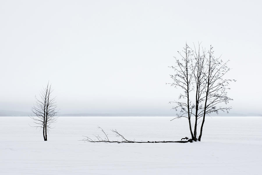 White Silence by George Grigoriadis White Silence by George Grigoriadis