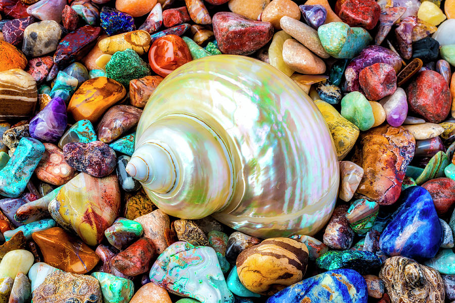 White Snail Shell And Colorful Stones Photograph by Garry Gay