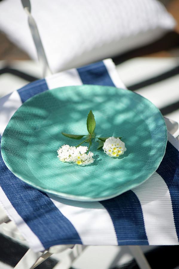 White Sprig Of Flowers On Hand-made, Turquoise Dish Photograph by Winfried Heinze