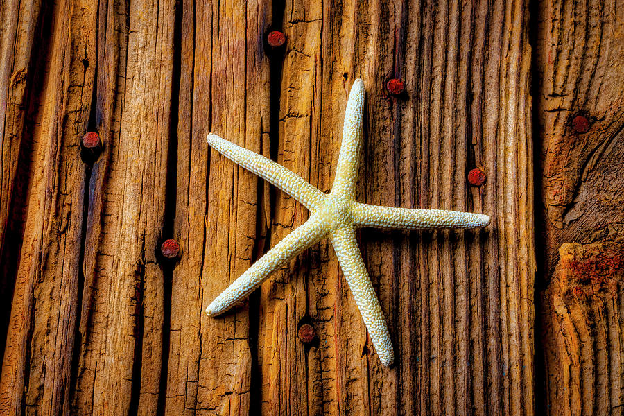  White Star On Old Boards Photograph by Garry Gay