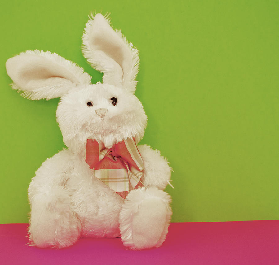 white stuffed bunny rabbit