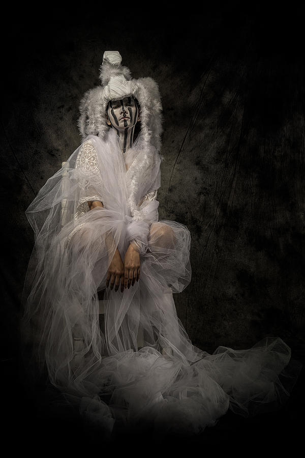 White Swan Photograph by Teddy Hariyanto