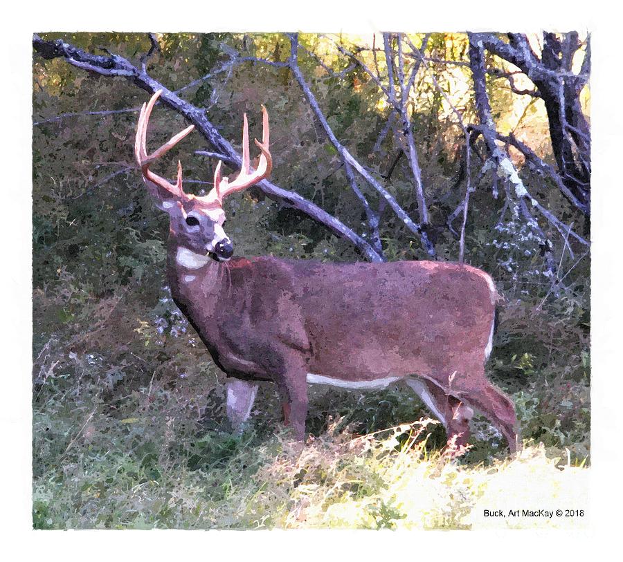 White-tail Buck Digital Art by Art MacKay