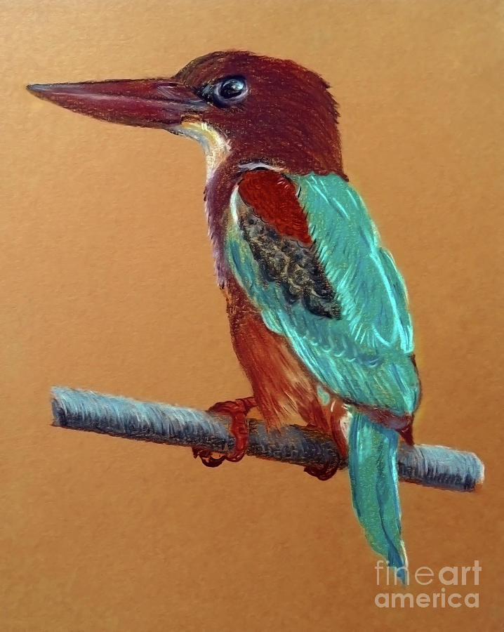 Kingfisher Painting - White Throated Kingfisher by Jasna Dragun