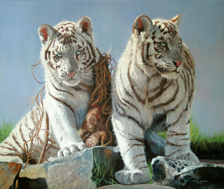 White Tiger Cubs Playing Painting by Pip Mcgarry - Fine Art America