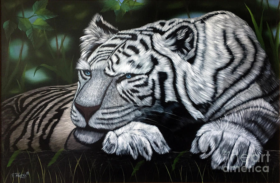 Tiger Painting - White Tiger by Edwin Rivera