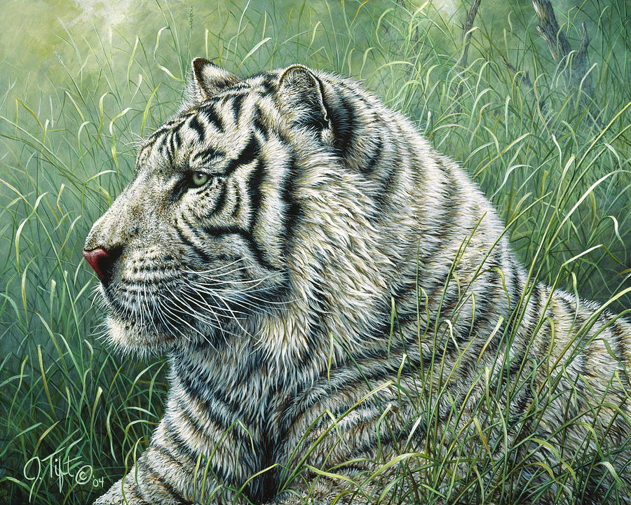 White Tiger Painting by Jeff Tift