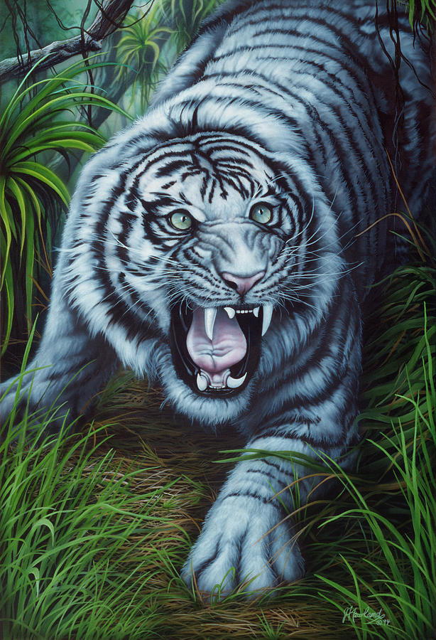 Animal Painting - White Tiger by Jenny Newland