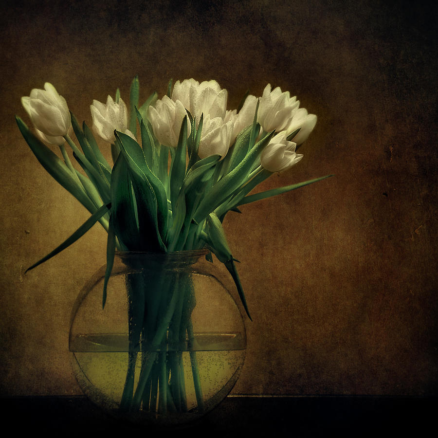 White Tulips In Vase Photograph by Istvan Kadar Photography