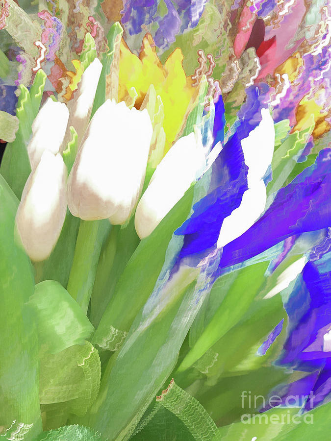 White tulips pastel Photograph by Phillip Rubino