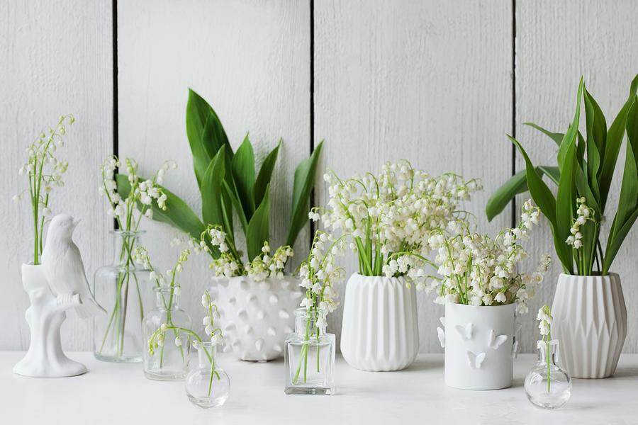 White Vases Of Lily Of The Valley Photograph by Annette Nordstrom