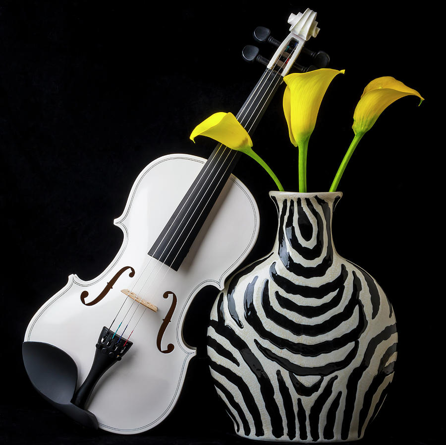 White Violin And Striped Vase Photograph by Garry Gay