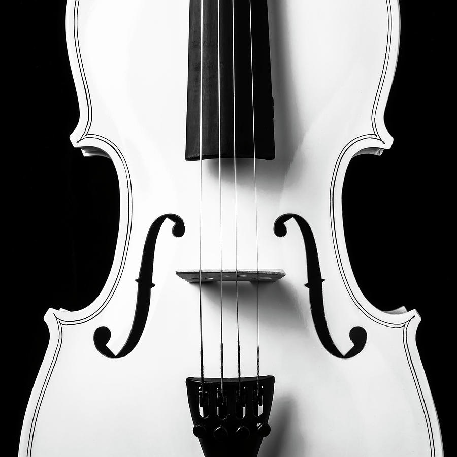 White Violin Close Up Photograph by Garry Gay