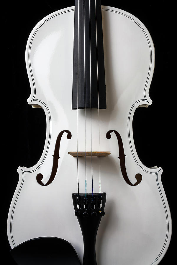 White Violin Photograph by Garry Gay