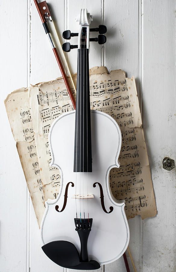 White Violin Hanging On White Door Photograph by Garry Gay