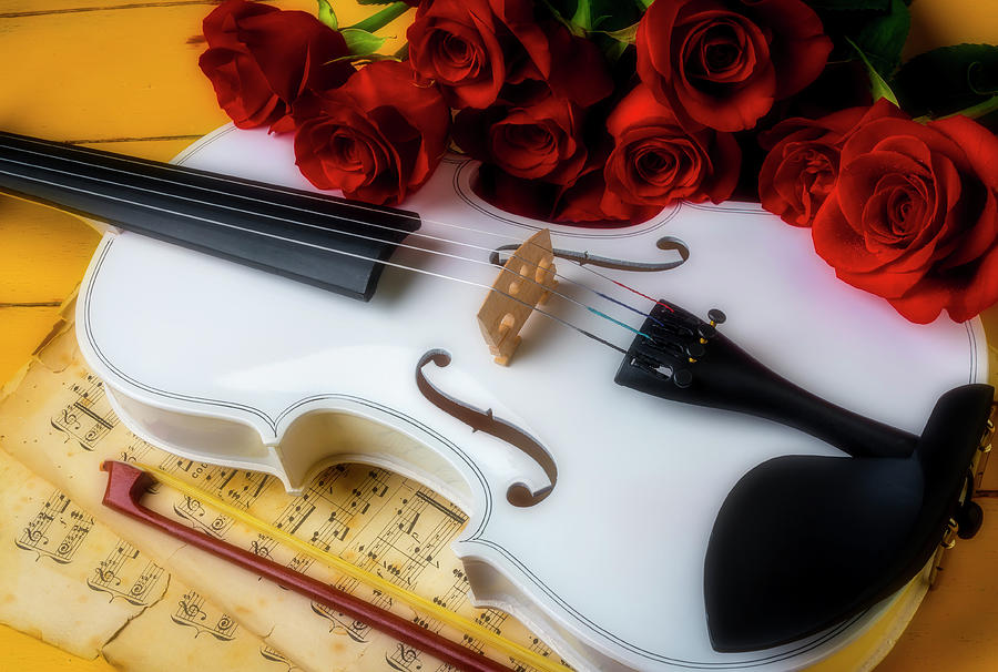 Bouquet Photograph - White Violin Still life by Garry Gay